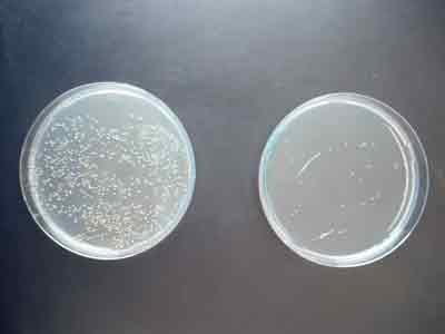 Zum Vergrößern bitte klicken! Zum Vergrößern bitte klicken!