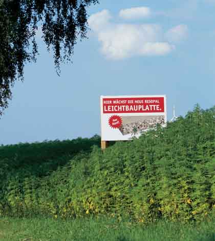 Artikel lesen Artikel lesen